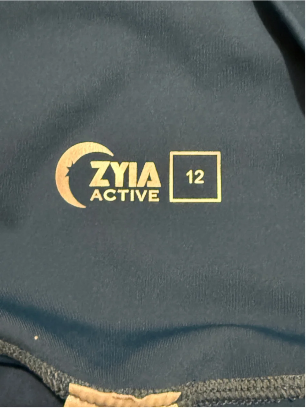 Zyia Active Blue High Rise Capri Leggings Size 12